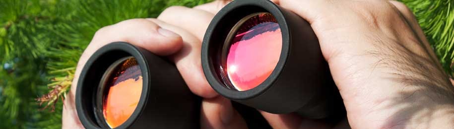 imgi 8 personal investgation